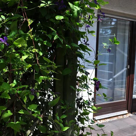 Bunte Burg * Ebenweiler